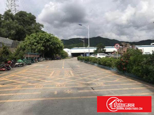 石岩机塘头荷高速出口2楼300平精装修不要转让费