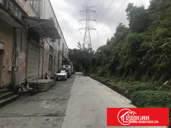 坂田独院一楼2100平，可分租，白菜价，适合各行各业！