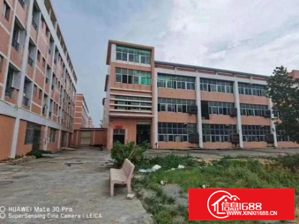 独门独院厂房出租，形象好