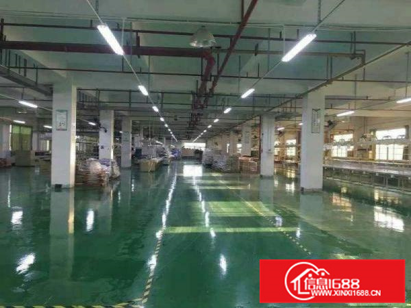 惠东白花工业园标准厂房面积7560平车间地坪漆精装无尘车间