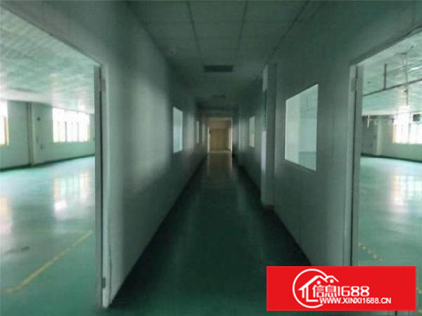 常平镇月底空出楼上两层1600平厂房