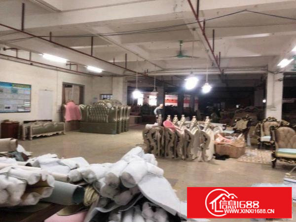 高埗镇冼沙独院原房东标准厂房3层13000平