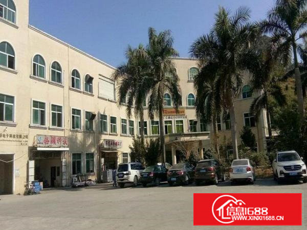 出租谢岗燕东工业区鼎嘉工业园厂房