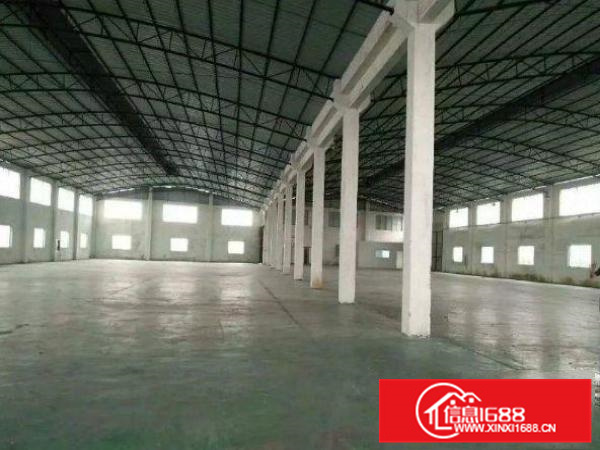 五一村单一层钢构厂房面积3100方空地1000方