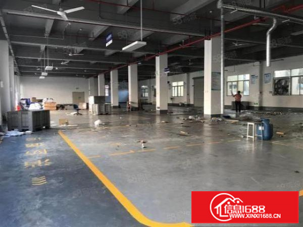 证件齐全，容桂高黎标准1000方，园区管理，空地大