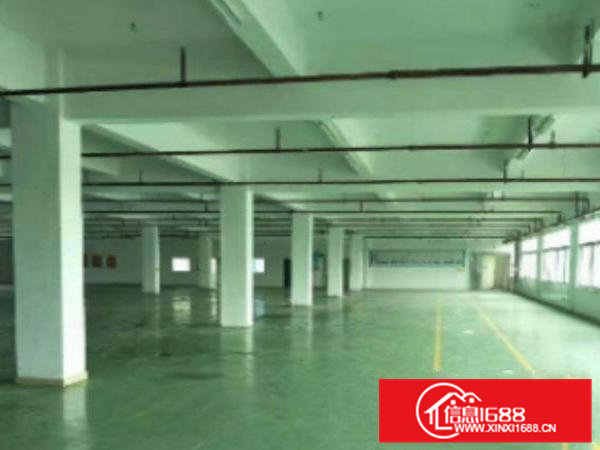 出租高埗高埗独院标准厂房楼上3000平方带消防喷淋出租