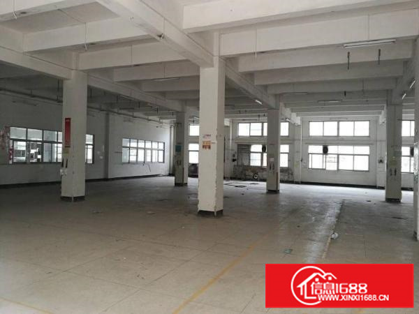 南联一楼便宜厂房1250平方可分租