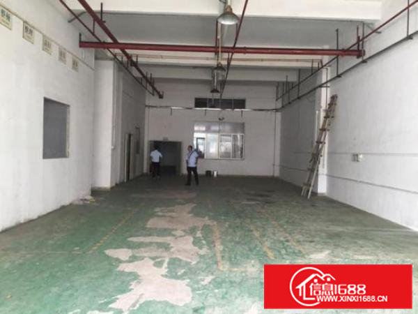 卢屋社区荔枝园路现有标准厂房5楼1500平米分租