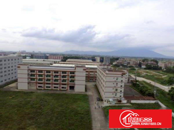 龙岗平湖新出标准一楼厂房，层高7米，现成行车，大小分租