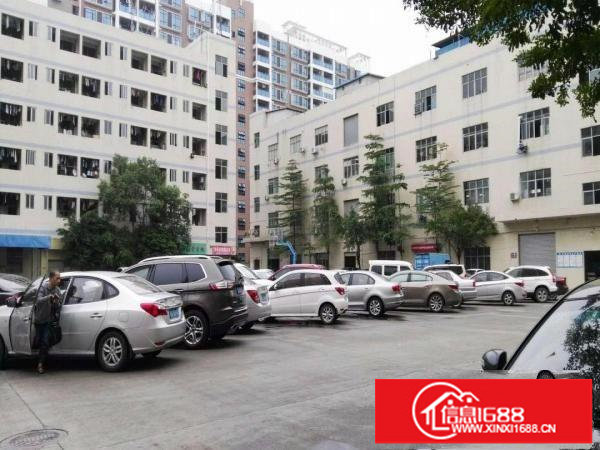 龙岗同乐原房东实际面积3楼1350平米出租