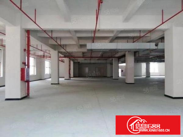 全新工业园空地非常大，近高速