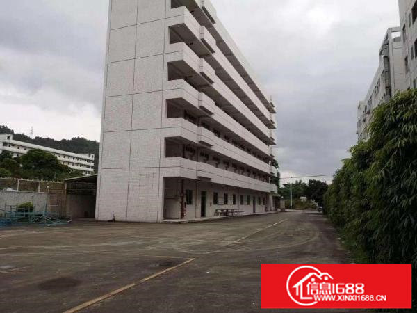 出租龙岗区横岗独院厂房，消防喷淋，3吨电梯