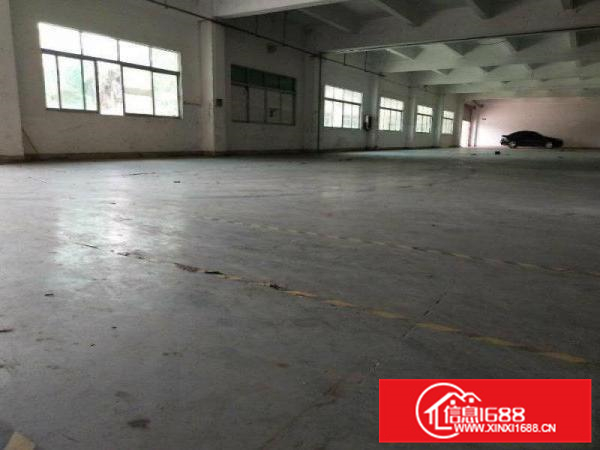 园洲镇标准独院厂房出租2100消防喷淋包办环评