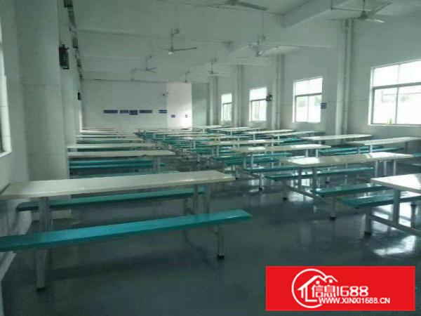 原房东招租!红本大亚湾工业园招租!水电齐全