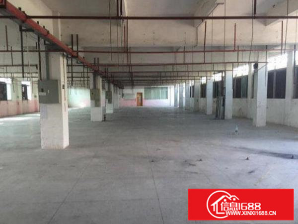 常平元江元三楼豪华精装1800平米