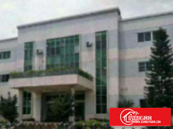 高埗独院标准厂房2层3200平方带卸货平台出租可办环评