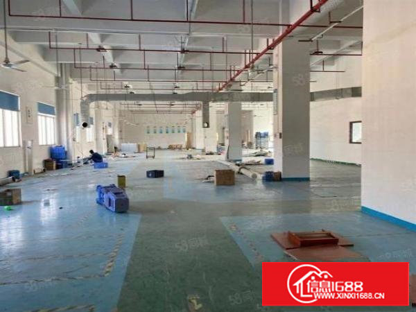 塘厦沙湖工业园新出楼上1500平方，精装修，办公室水电齐全