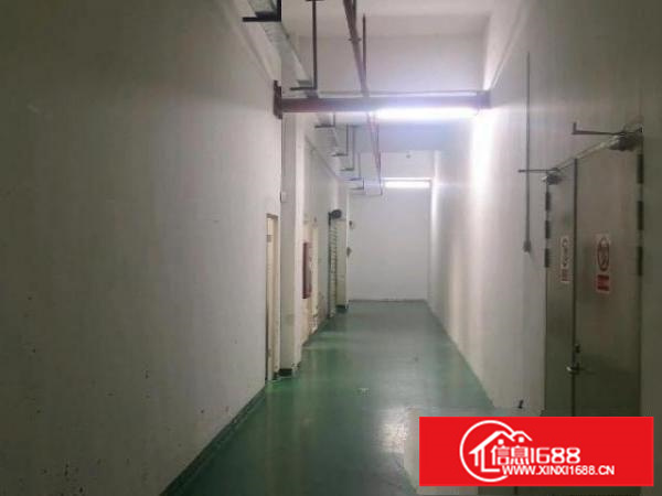 观澜1600平厂房仓库出租