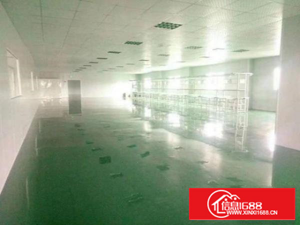 沙井黄埔润和工业园1至3楼各1200平米厂房原房东直租精装修