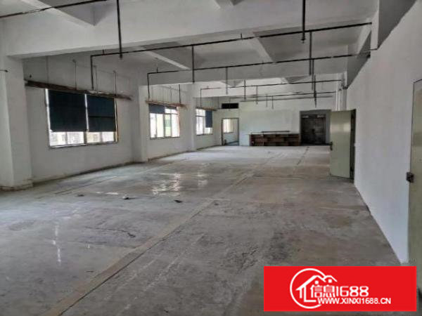 龙岗大道边上3楼500平带消防喷淋