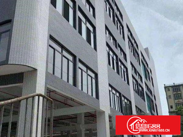 高埗新出厂房出租6000平空地大可分租