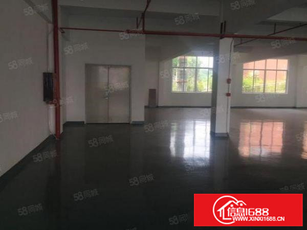 可分租全新原房东独门独院厂房出租2200平米带装修