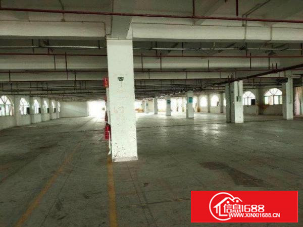 沙湖红本独栋现有1.2万平米1-3楼厂房：4000平/层