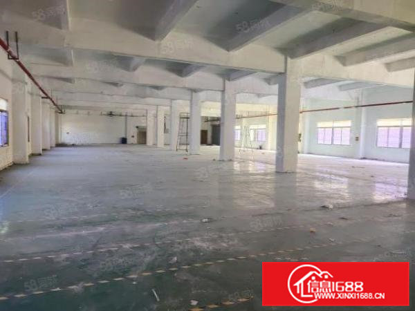 清溪大浦工业区一楼2百5百8百1千平红本独院仓库厂房出租分租