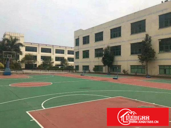 原房东一楼2200无公摊厂房出租6米高可分租