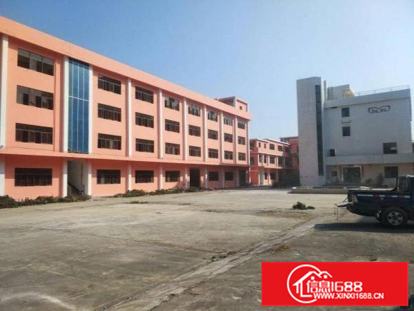 常平镇标准大型40000厂房可以分租厂房