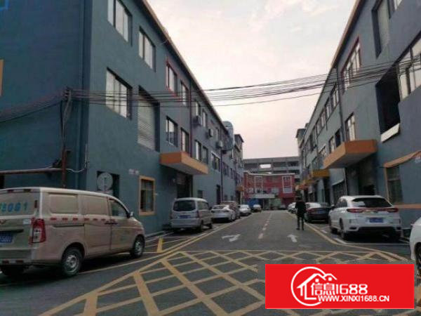 沙井国道旁新出楼上带装修1100平