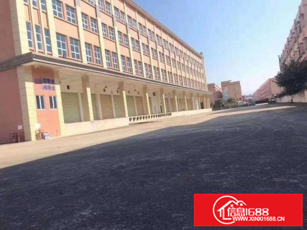 出租常平镇大京九仓库12800平招租，可分租