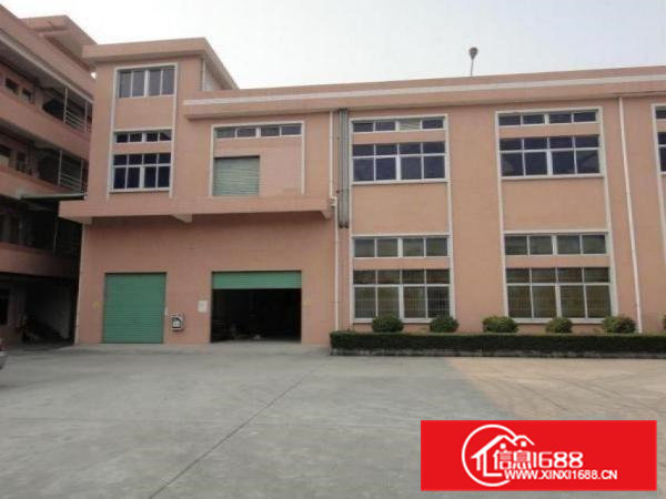 企石镇新出经典独门独院标准二层厂房