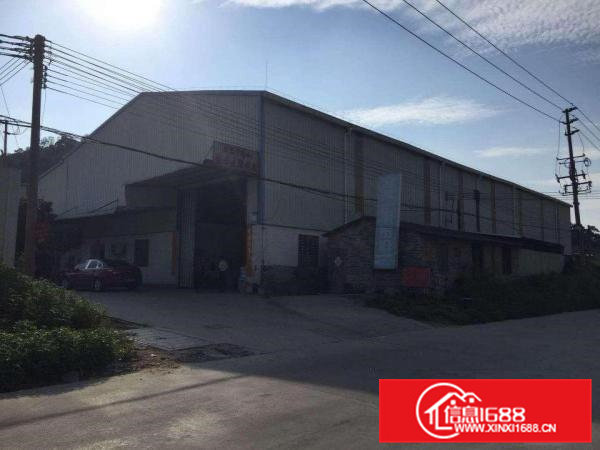 茶山南社小型单一层厂房700平方出租，滴水7米