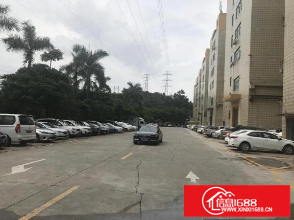 坂田成熟工业区，原房东厂房1800平，精装修！