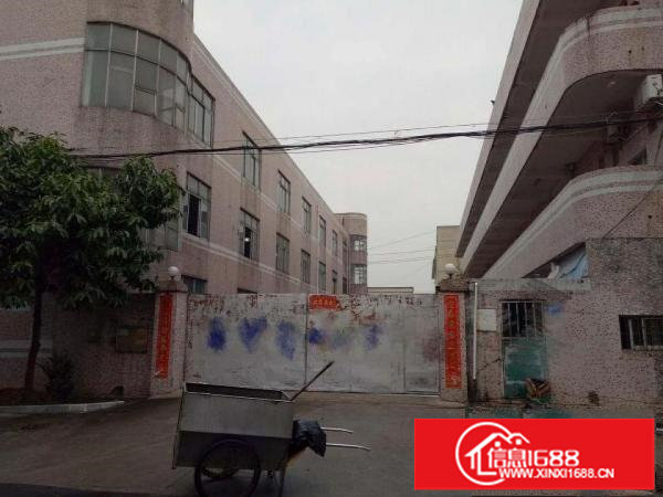 坪山三洋湖现成装修3600平米独院厂房出租