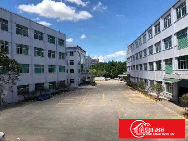 寮步镇新出原房东分租一楼1200平方