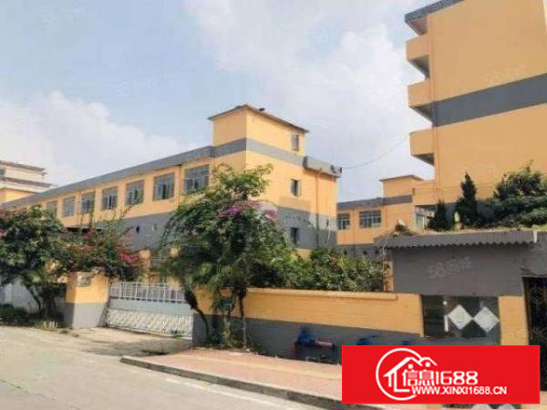 龙岗区爱联嶂背精装修厂房三楼1280平，实际面积出租