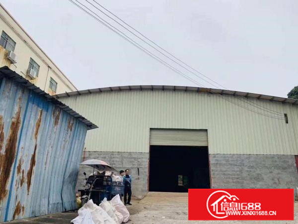 南栅小独院1200平米厂房出租！园林式独院厂房！6.5米高！