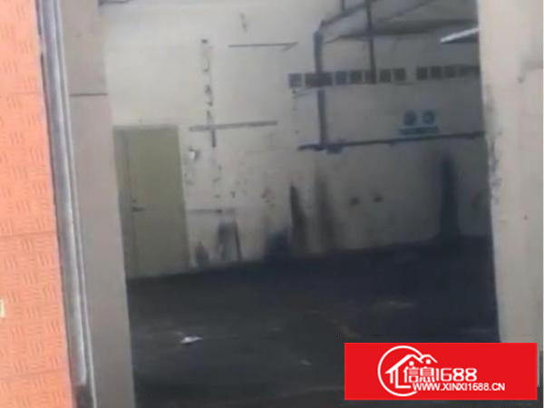 闲置厂房出租随时看房