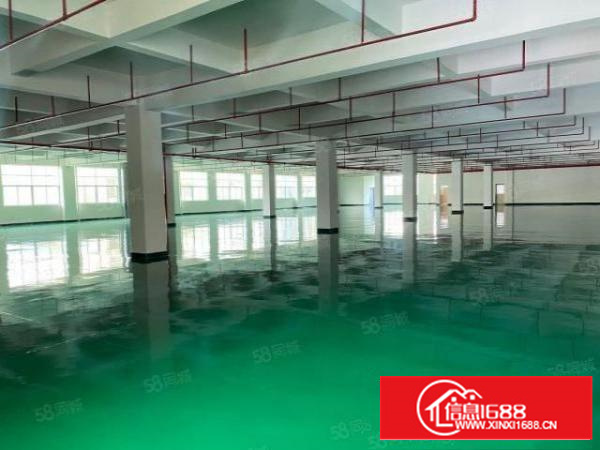 凤岗新出独院全新地坪漆厂房，价格13.9元，合适任何行业，