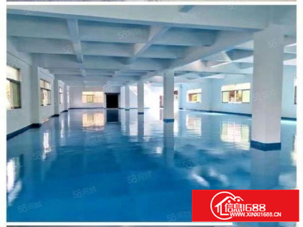 万江新和,环城路外,原房东标准厂房