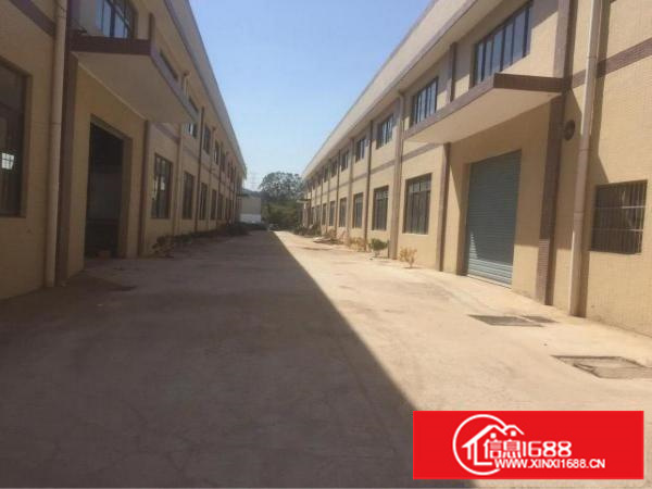 惠阳全新单一层八米高标准厂房招租