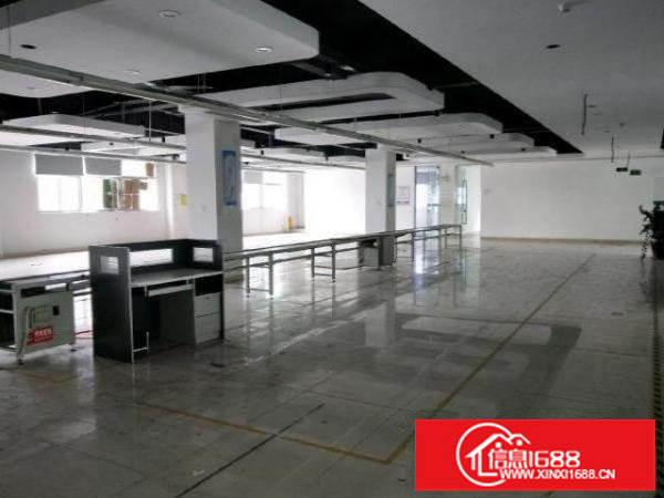 龙华大浪商业中心附近1300平方