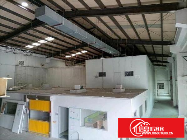 清溪新出砖墙到顶钢构厂房2800平方