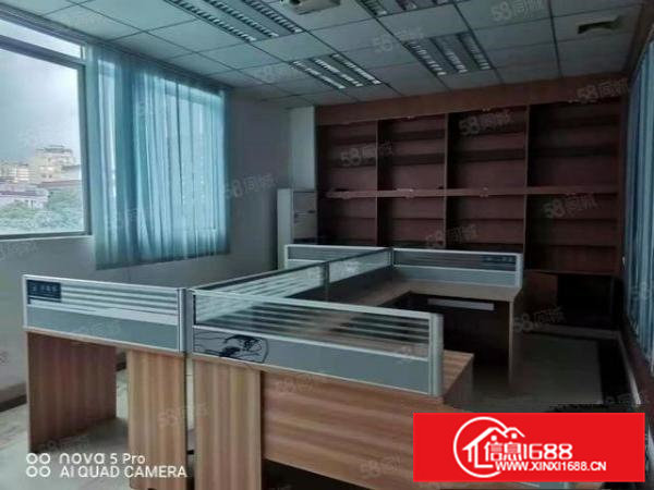 绿色地坪漆现成水电凤岗电子装配毛刷皮具手袋厂房出租