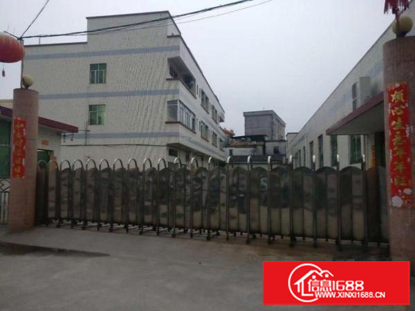 大田洋工业园大量小面积红本厂房仓库出租精装修