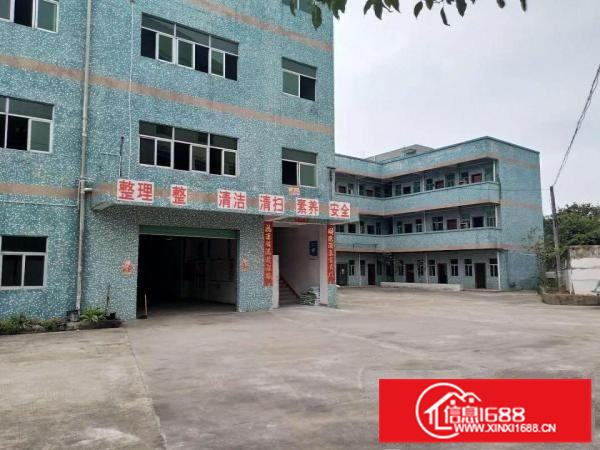 惠东白花标准独院厂房三层共5400平可分租行业不限