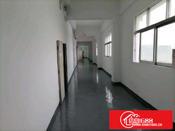 李朗全新装修业主厂房直租