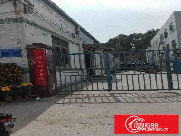 东莞市清溪，新出零公摊2400平单层钢构出租